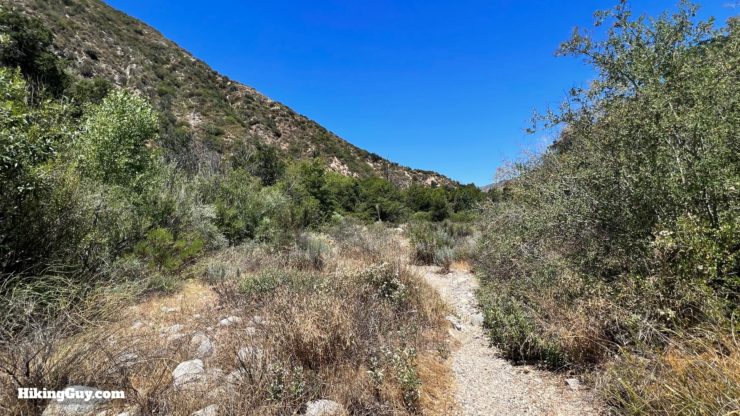Stone Canyon Trail To Mt Lukens Loop Directions 66