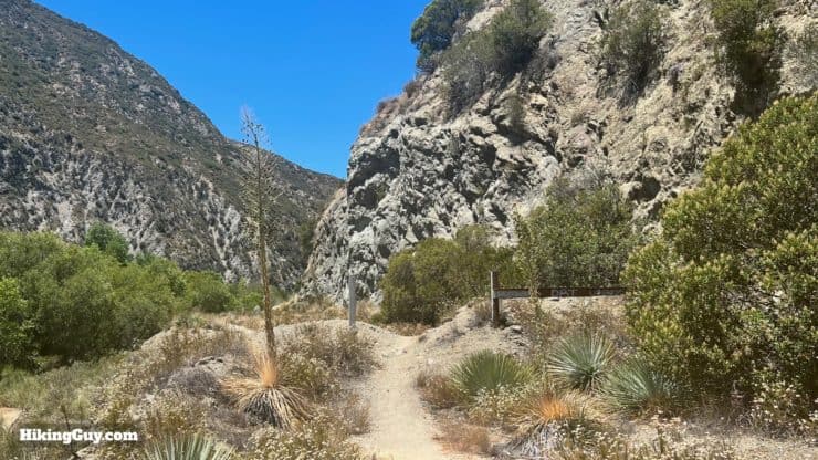 Stone Canyon Trail To Mt Lukens Loop Directions 78