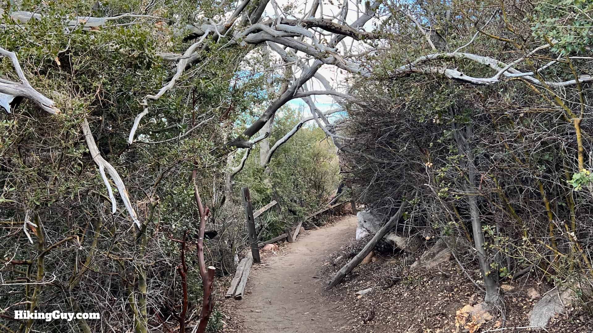 Stonewall Peak Hike Update 14