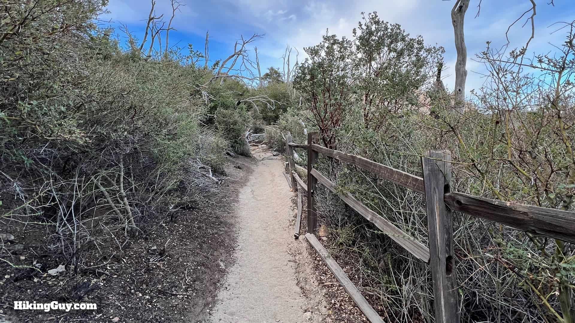 Stonewall Peak Hike Update 16