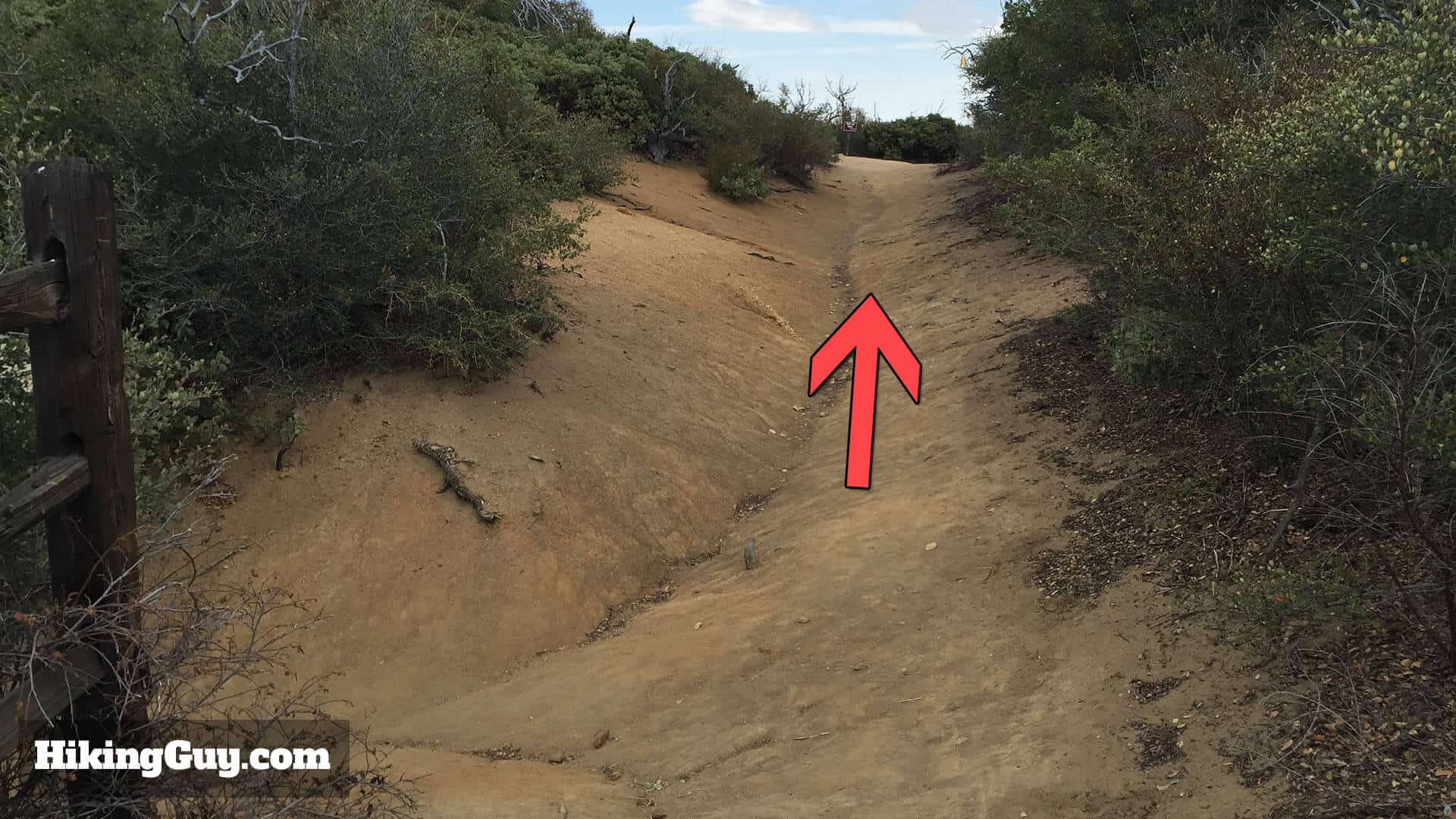 stonewall peak trail junction