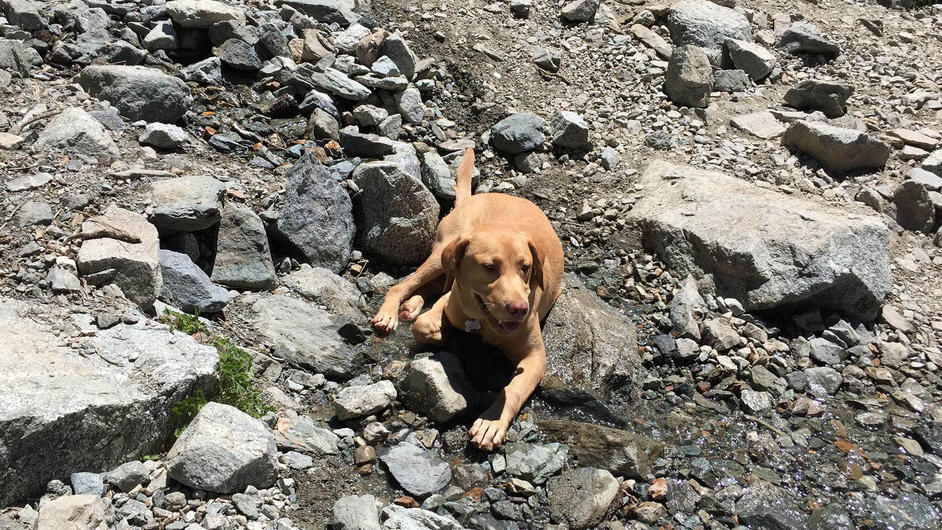stream on mt baldy hike