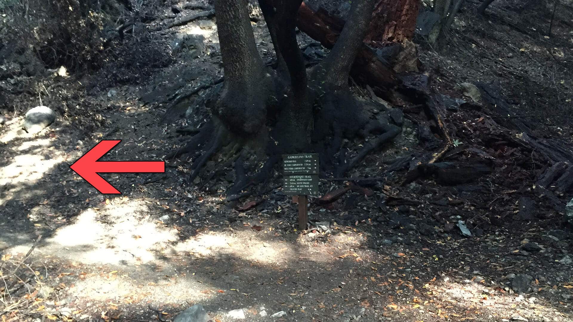 Sturtevant Trail junction