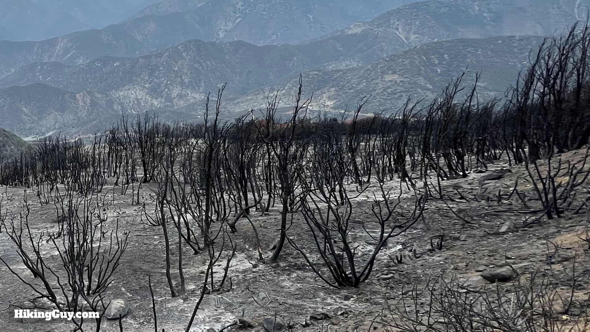 Sunset Peak Trail Directions 1