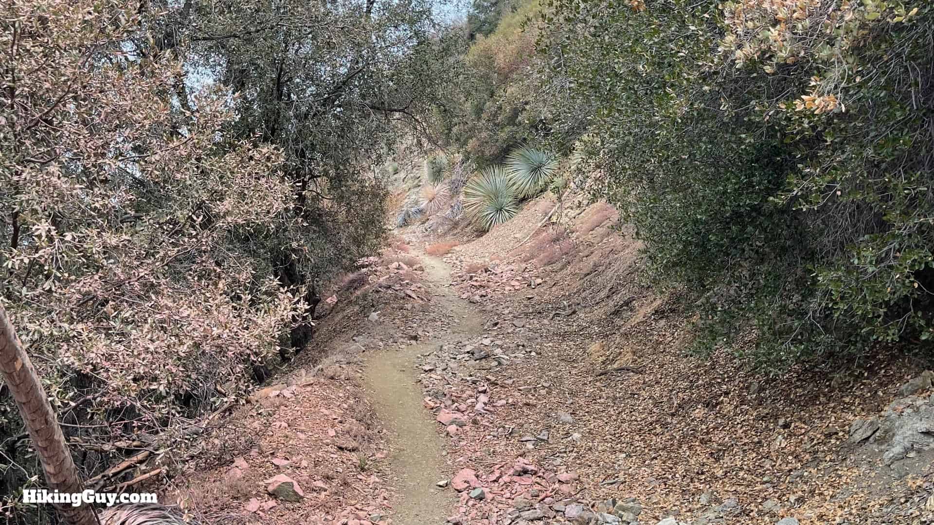 Sunset Peak Trail Directions 25