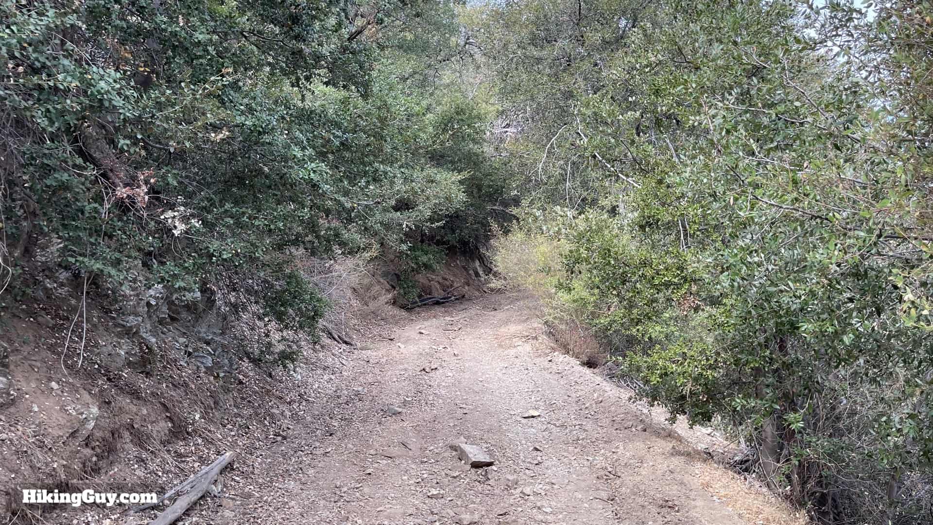 Sunset Peak Trail Directions 8