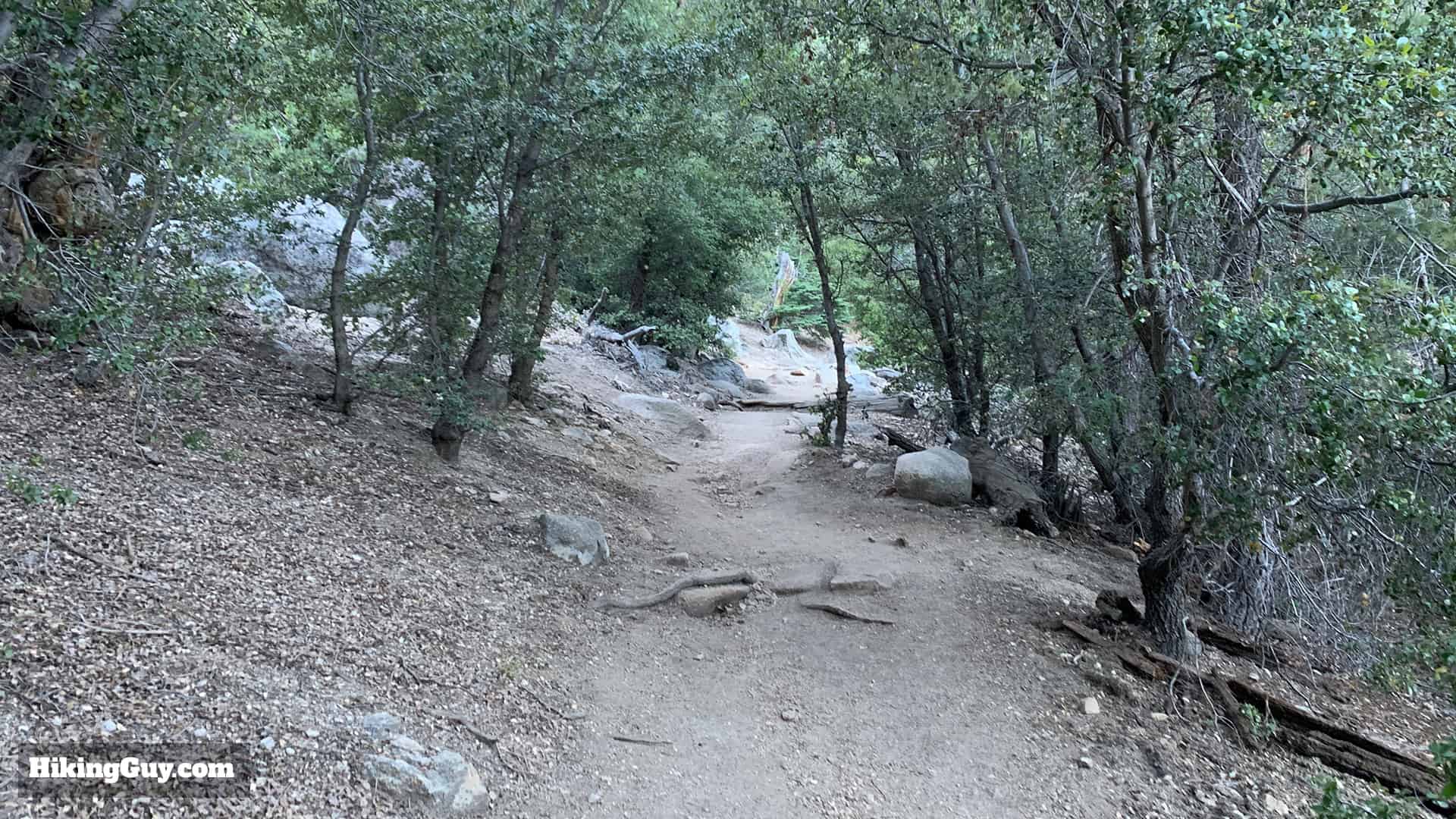 Tahquitz Peak Via Devils Slide Trail 10
