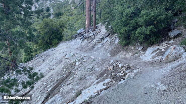 Tahquitz Peak Via Devils Slide Trail 12