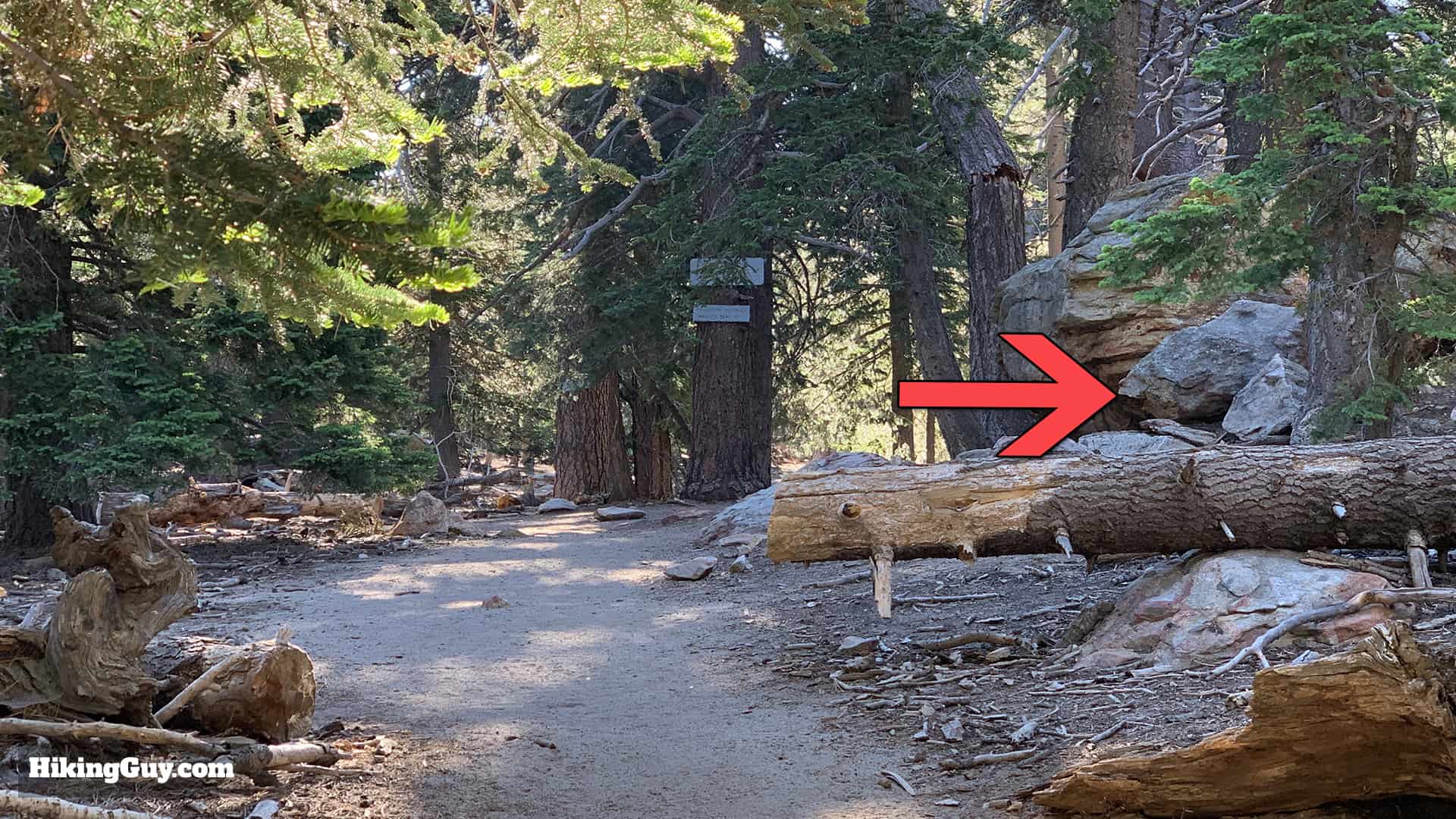 Tahquitz Peak Via Devils Slide Trail 13