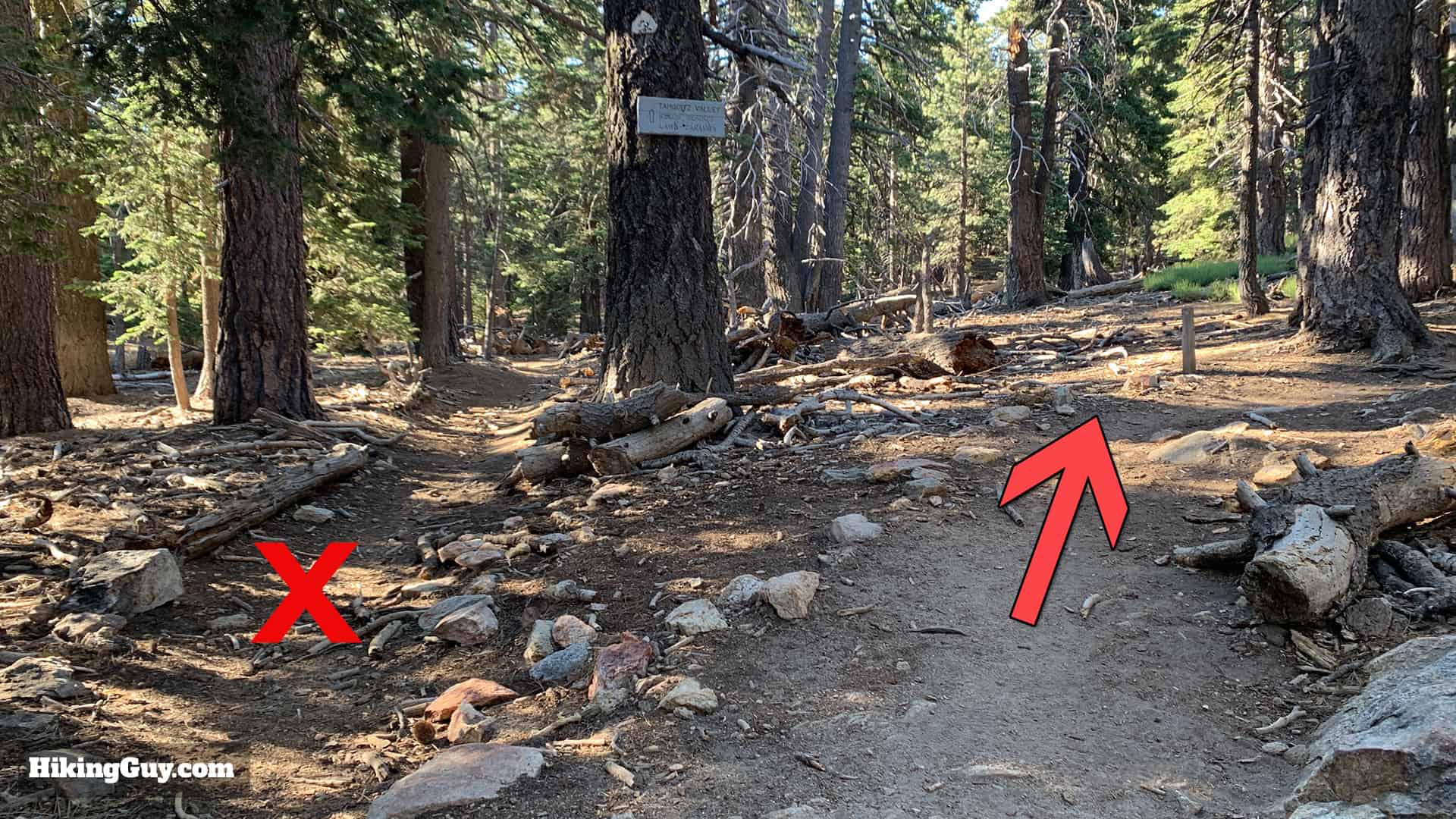Tahquitz Peak Via Devils Slide Trail 14