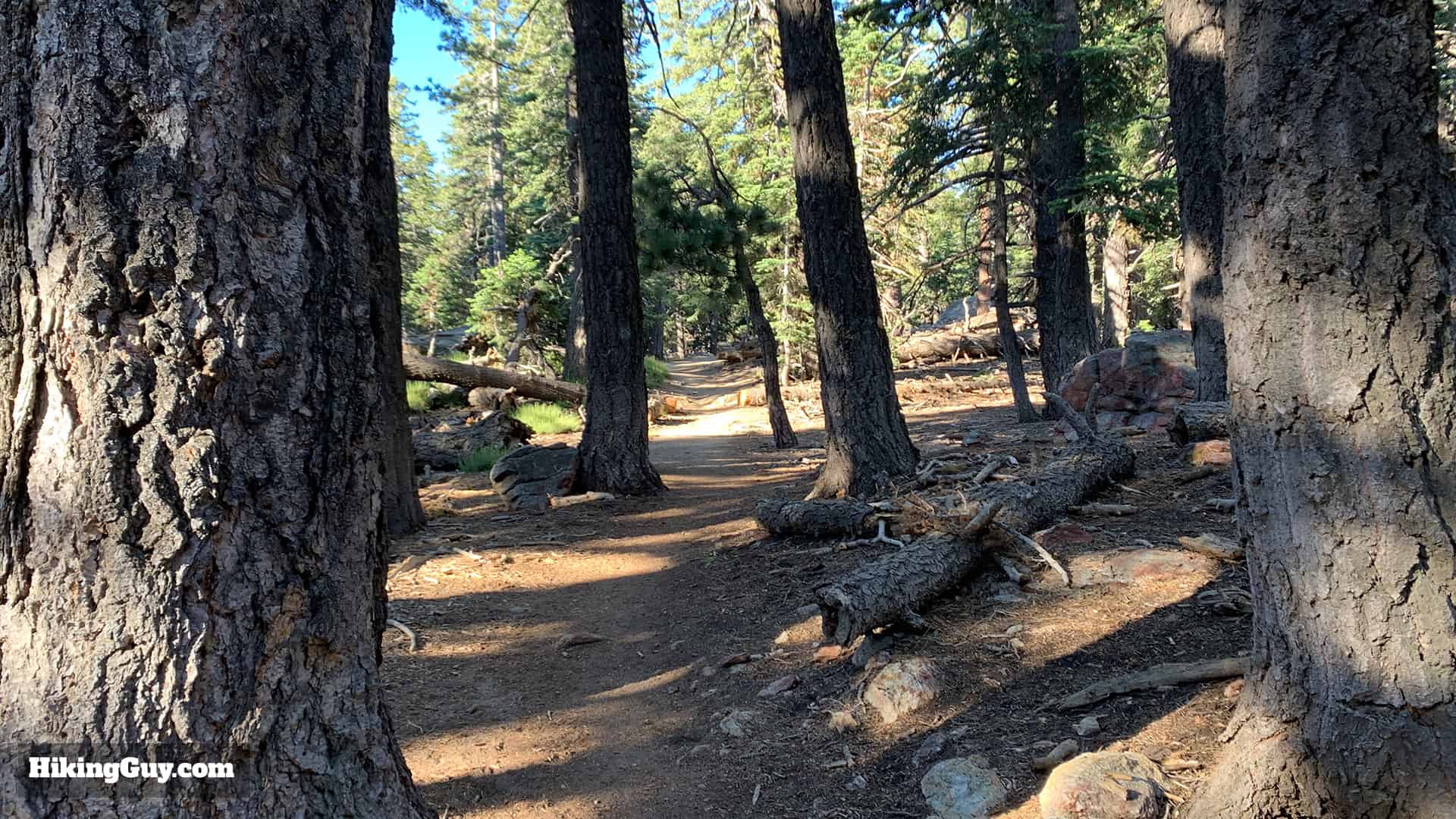 Tahquitz Peak Via Devils Slide Trail 15