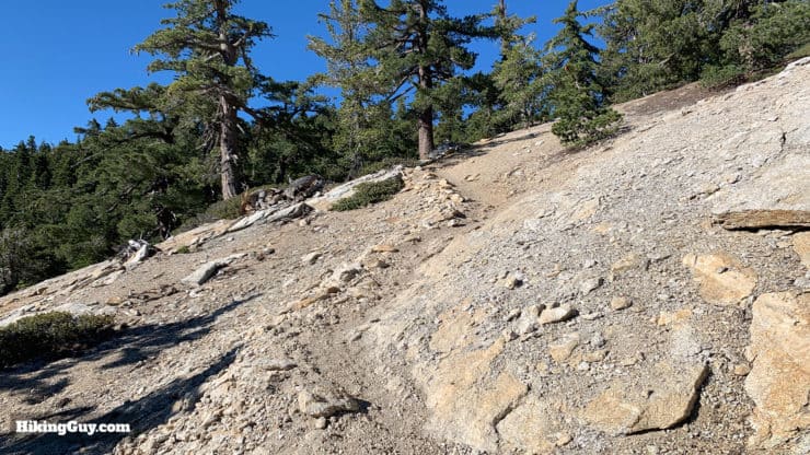 Tahquitz Peak Via Devils Slide Trail 16