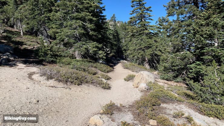 Tahquitz Peak Via Devils Slide Trail 22