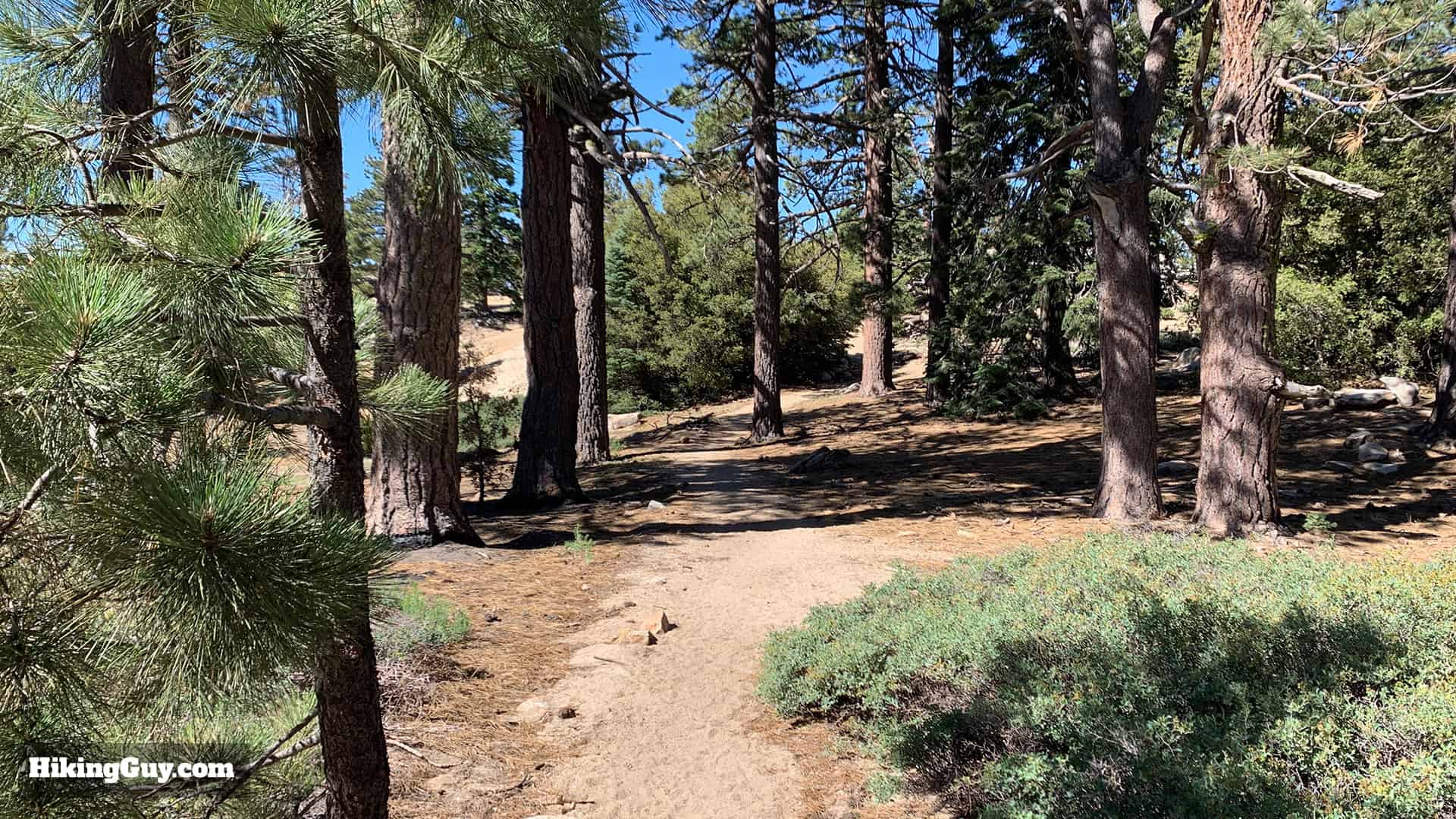 Tahquitz Peak Via Devils Slide Trail 32
