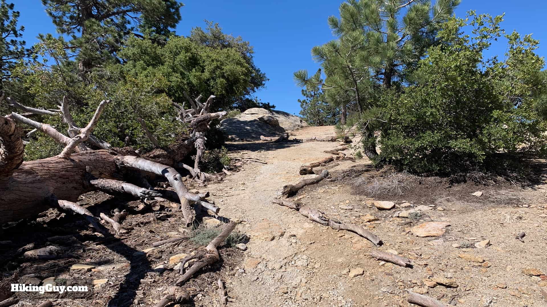 Tahquitz Peak Via Devils Slide Trail 33
