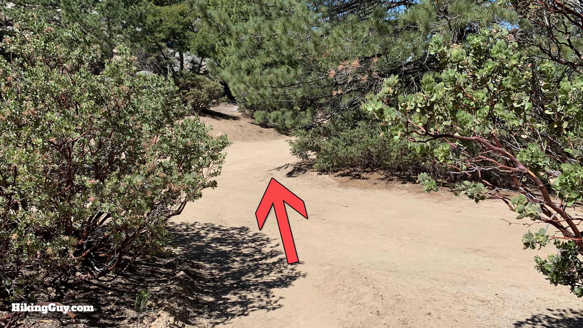 Tahquitz Peak Via Devils Slide Trail 35
