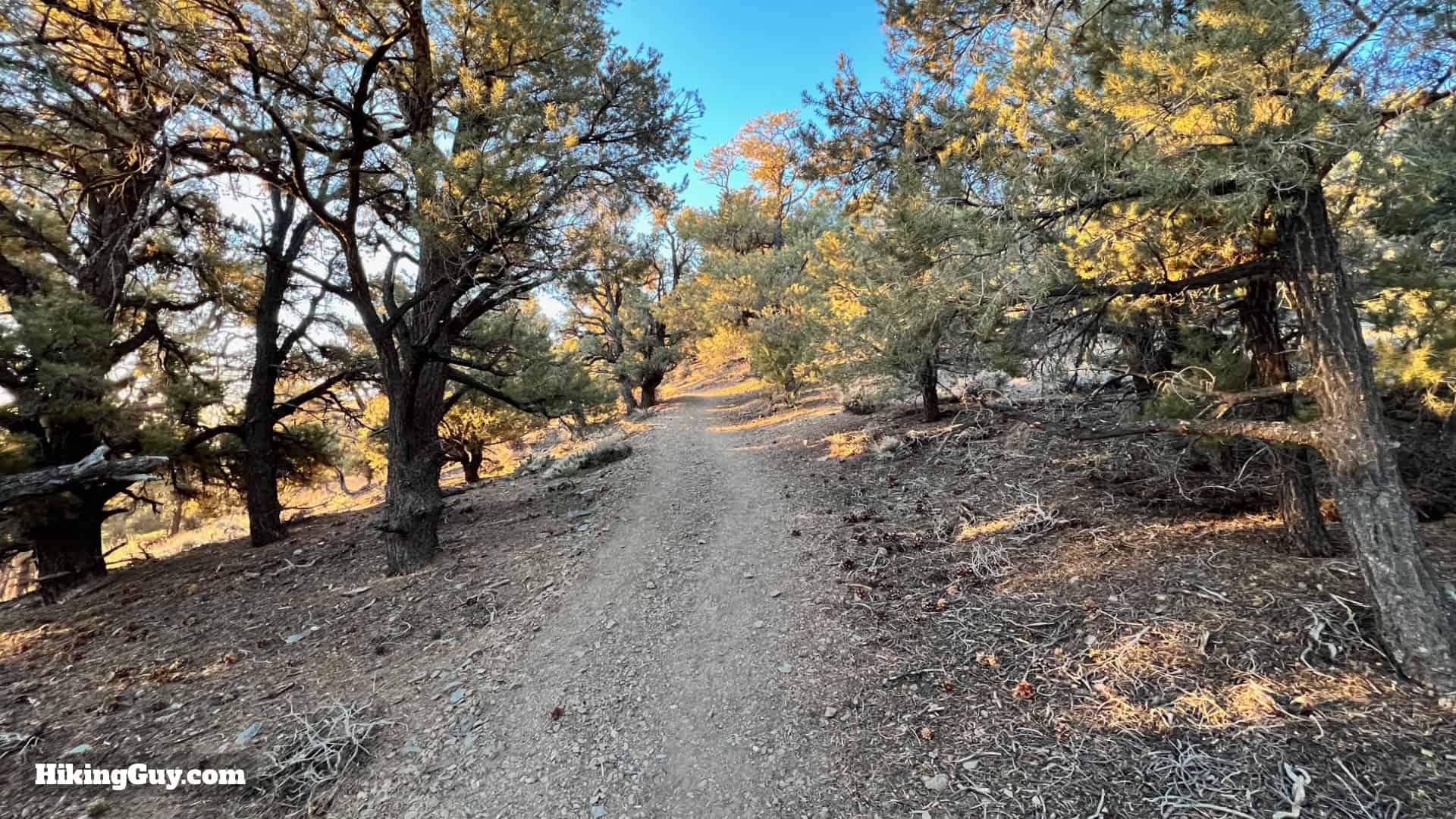 Telescope Peak Hike Directions 15