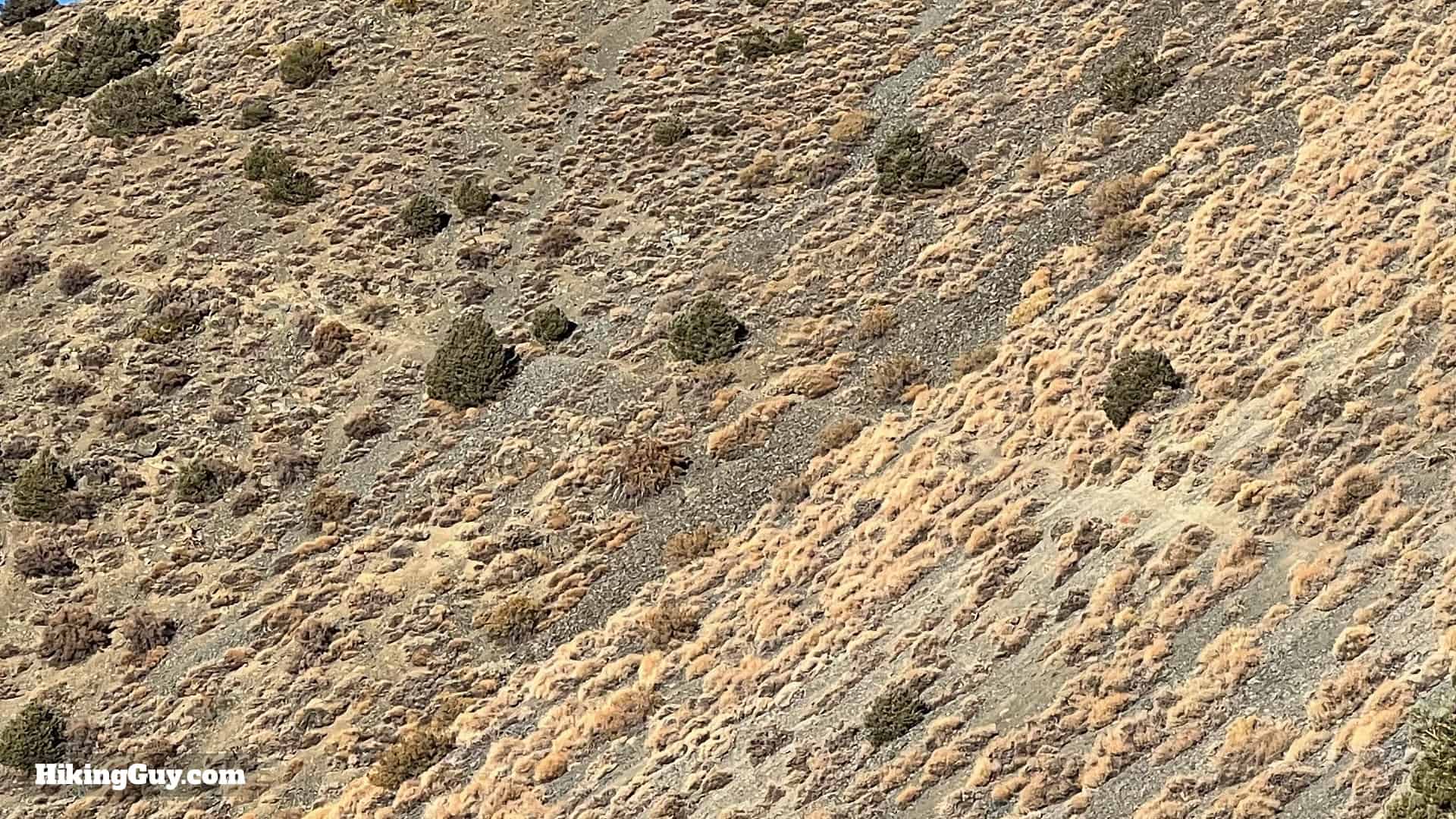 Telescope Peak Hike Directions 19