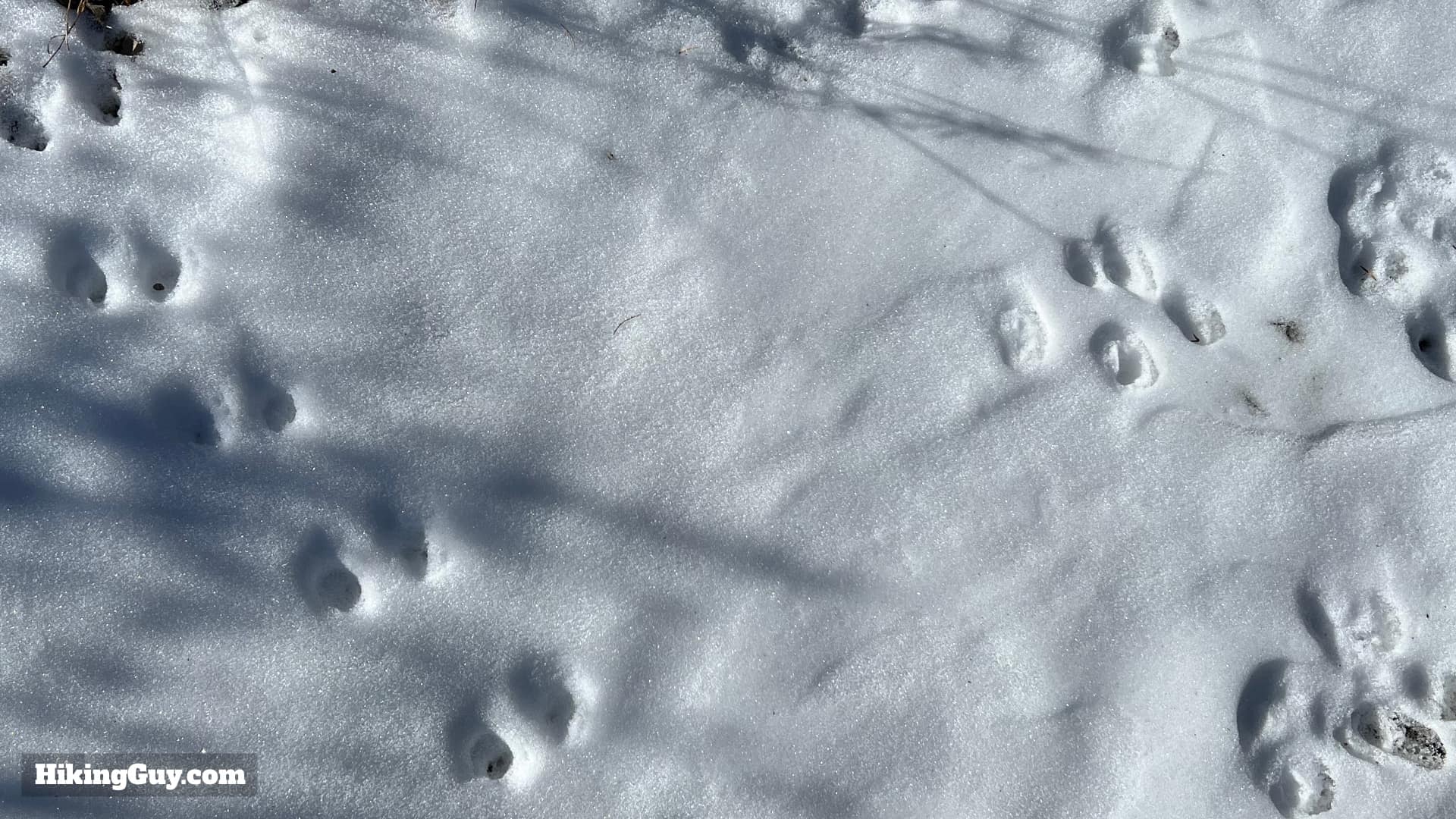 Telescope Peak Hike Directions 2