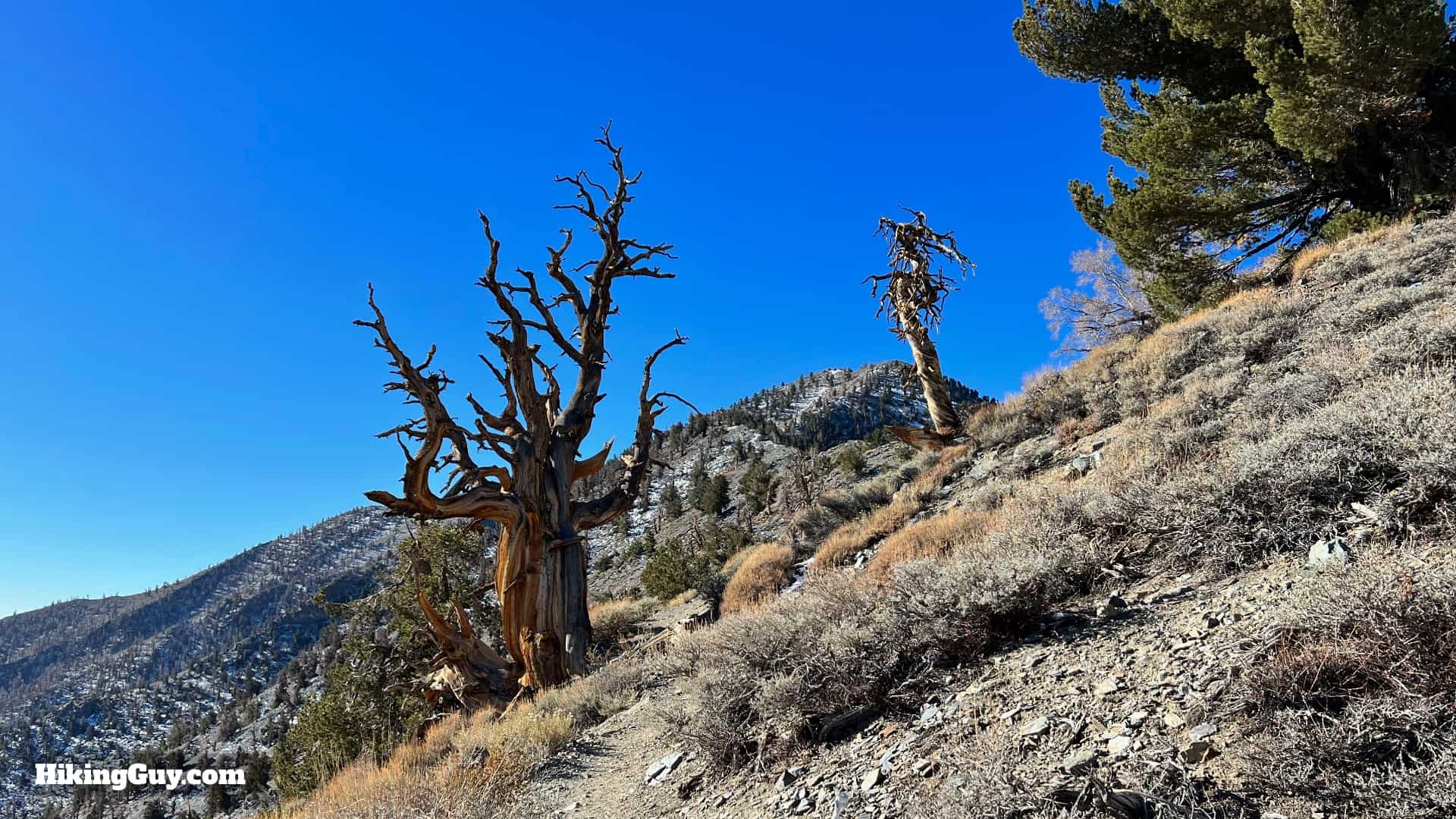 Telescope Peak Hike Directions 27