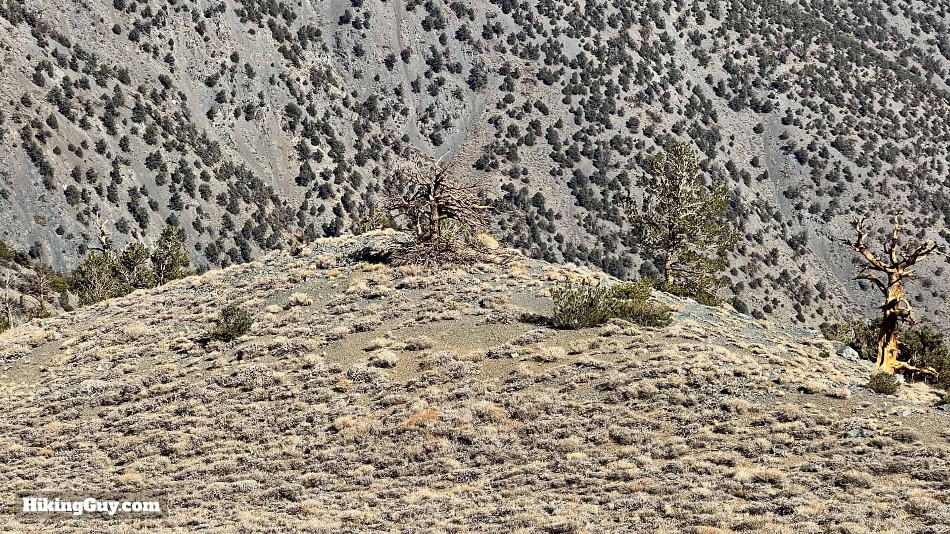 Telescope Peak Hike Directions 39