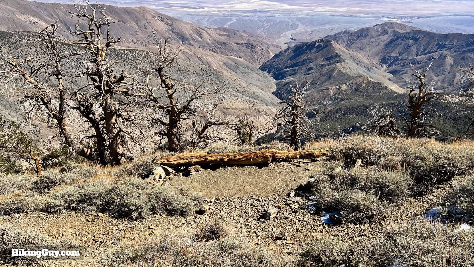 Telescope Peak Hike Directions 40