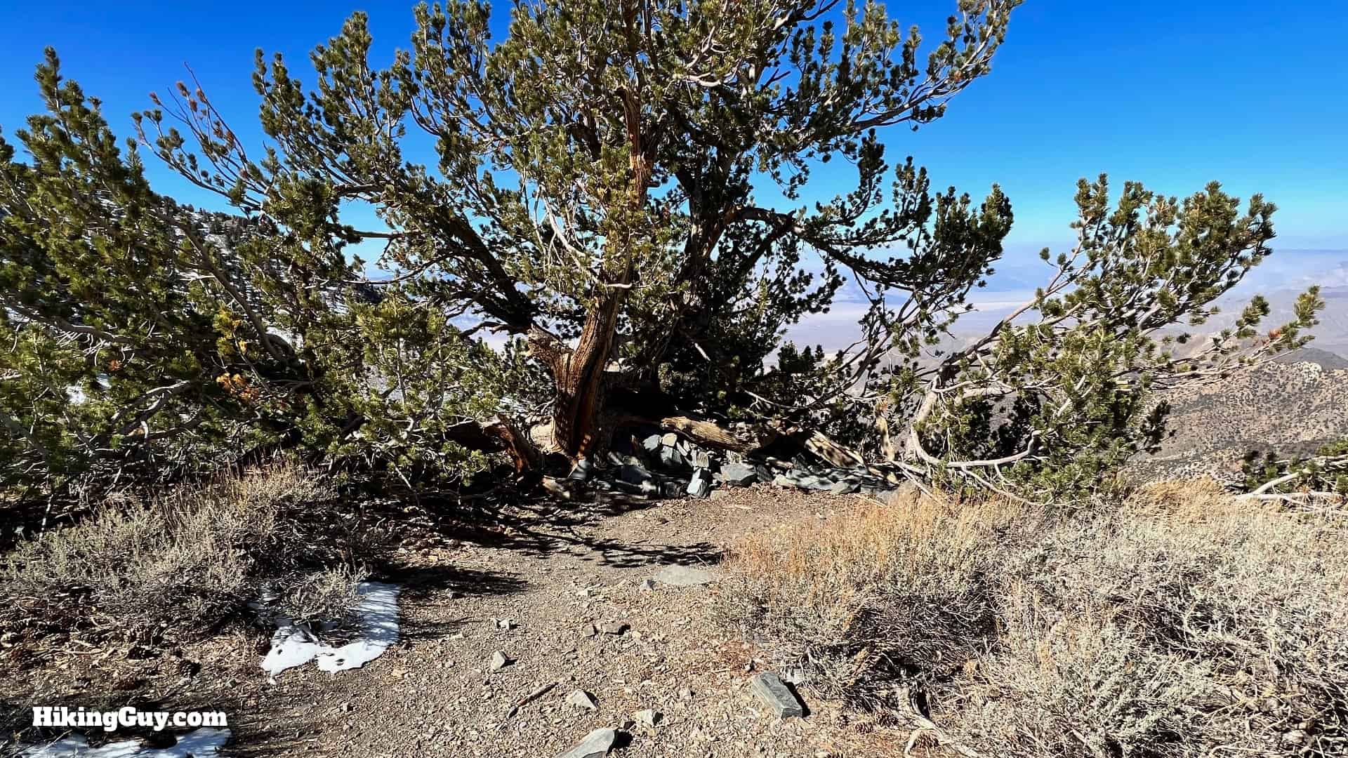 Telescope Peak Hike Directions 41