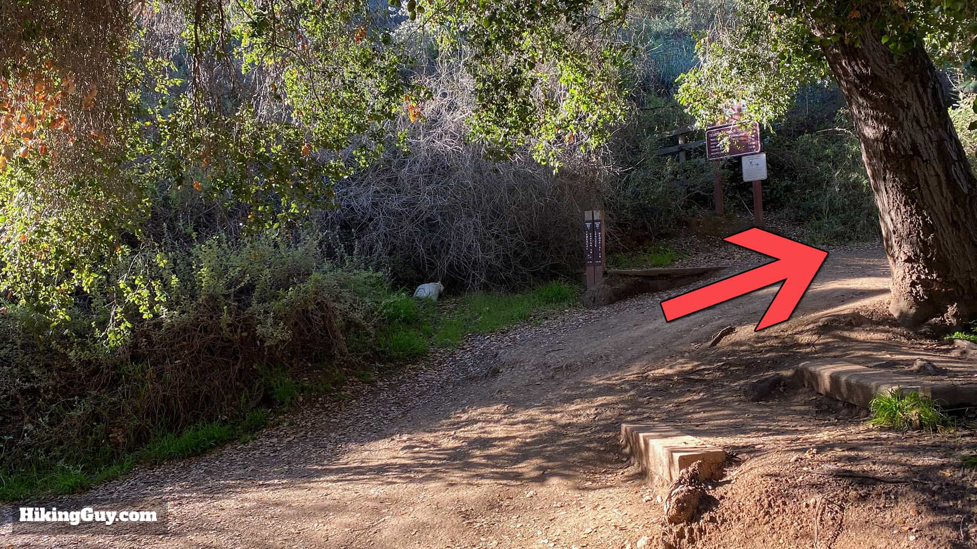 Temescal Canyon Hike Directions 12