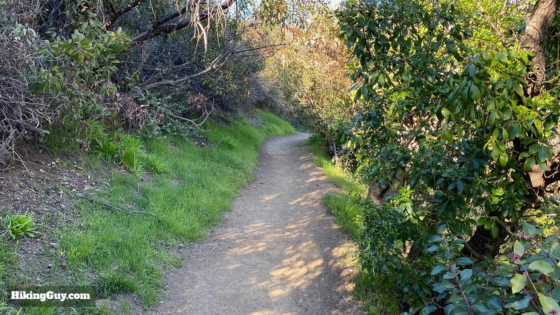 Temescal Canyon Hike Directions 14