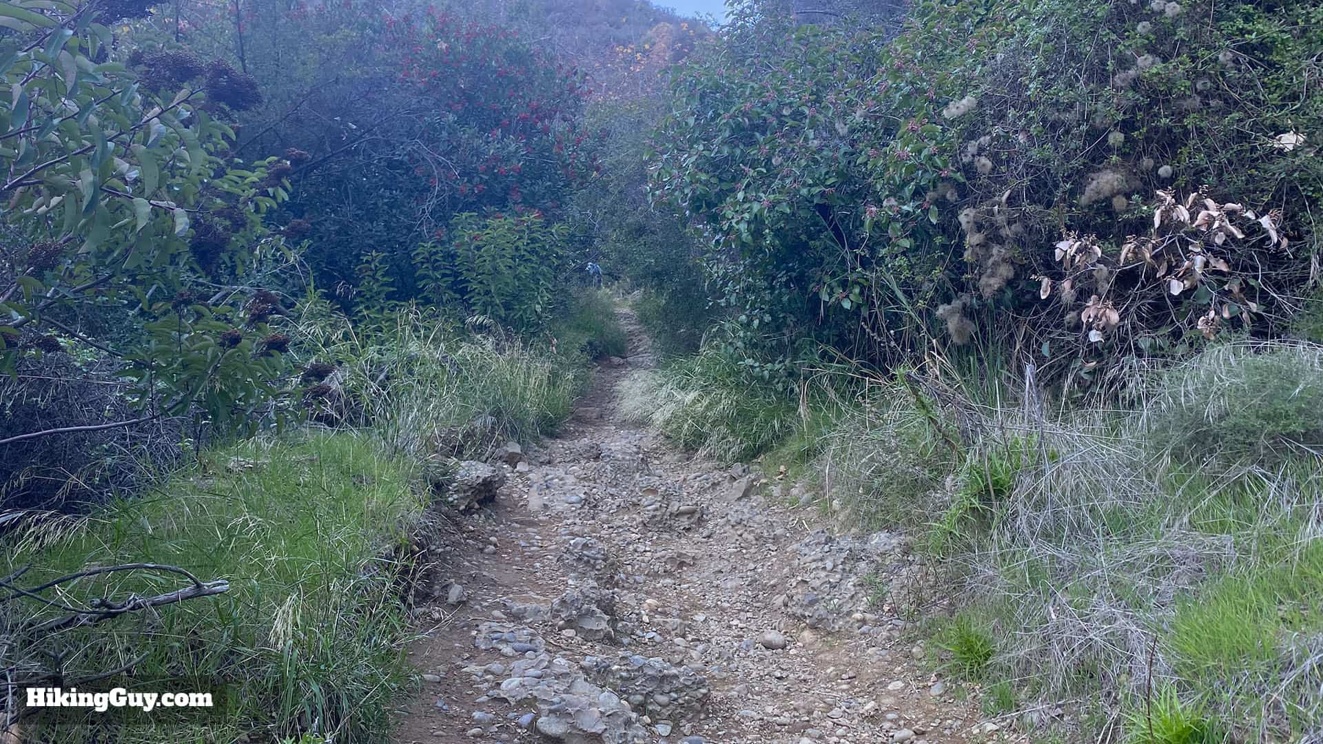 Temescal Canyon Hike Directions 20