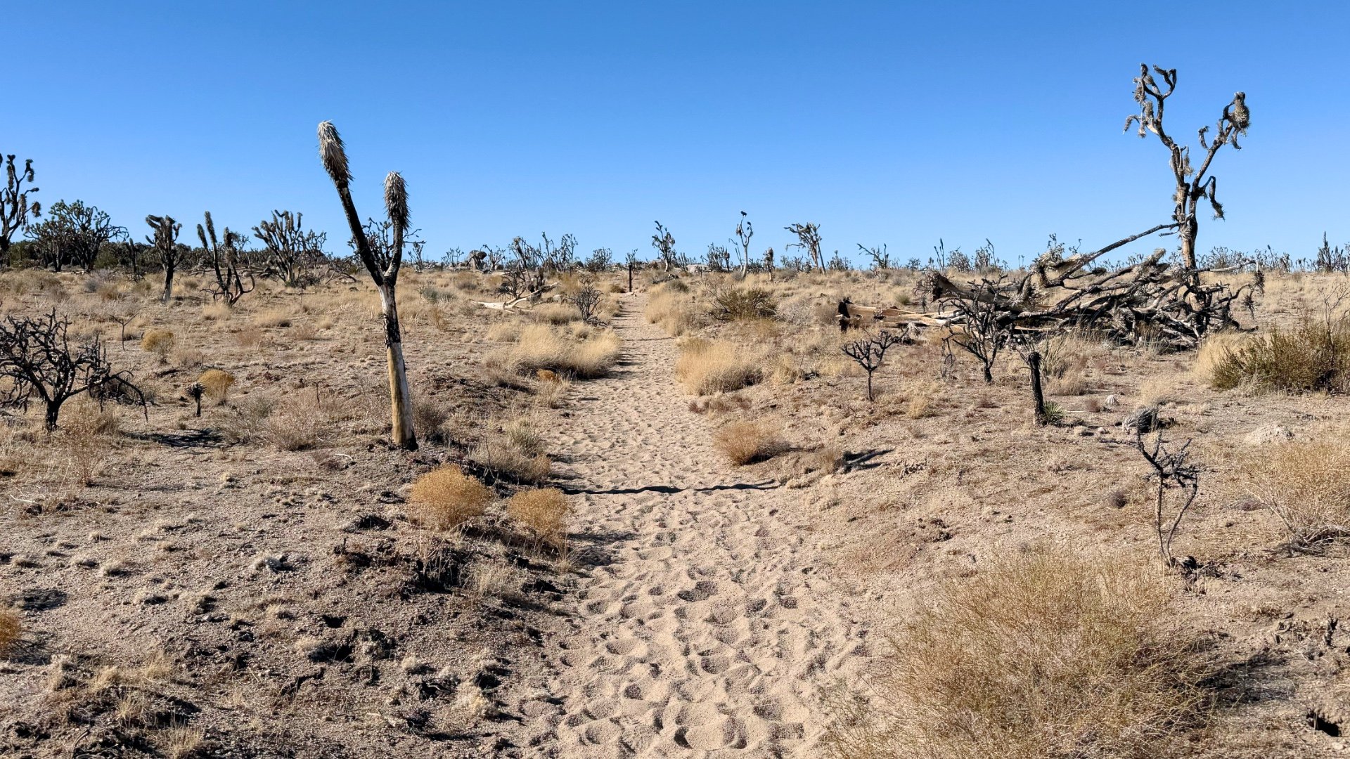 Teutonia Peak Hike Directions 2