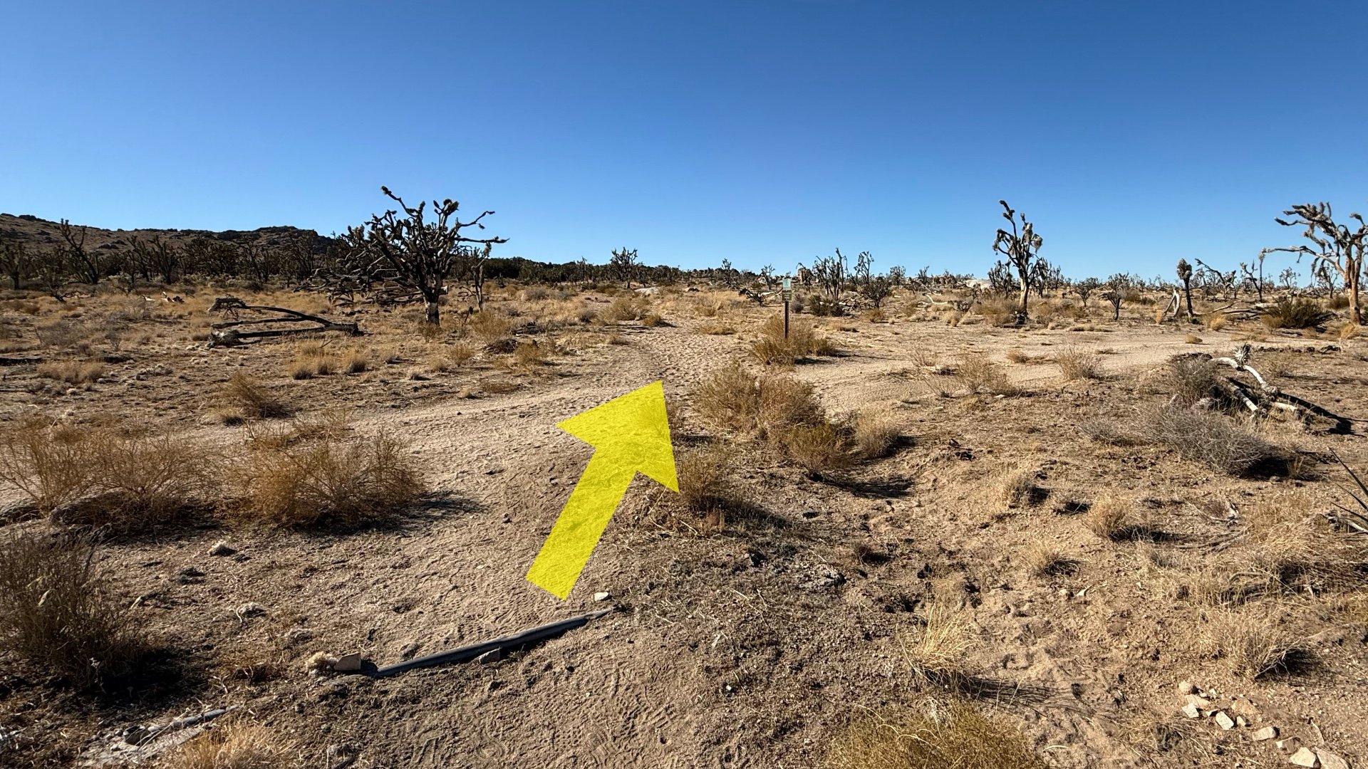 Teutonia Peak Hike Directions 4