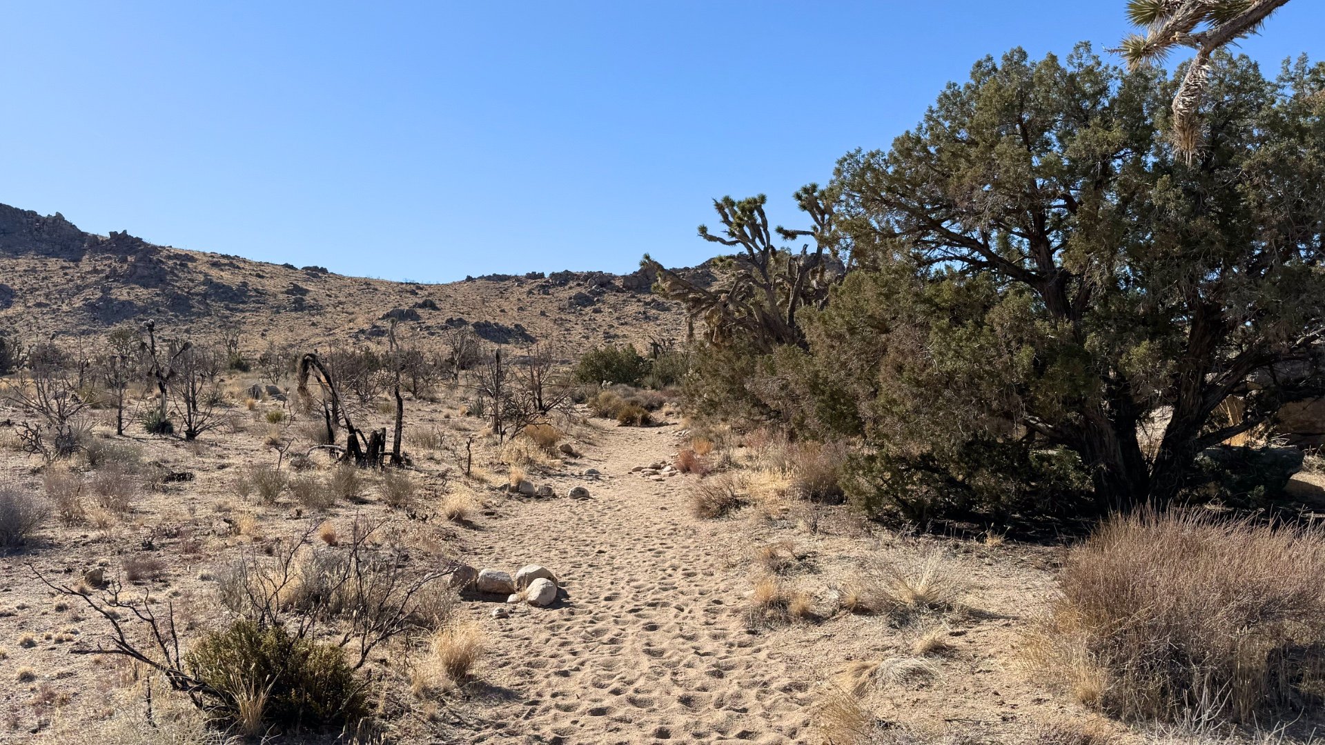 Teutonia Peak Hike Directions 5