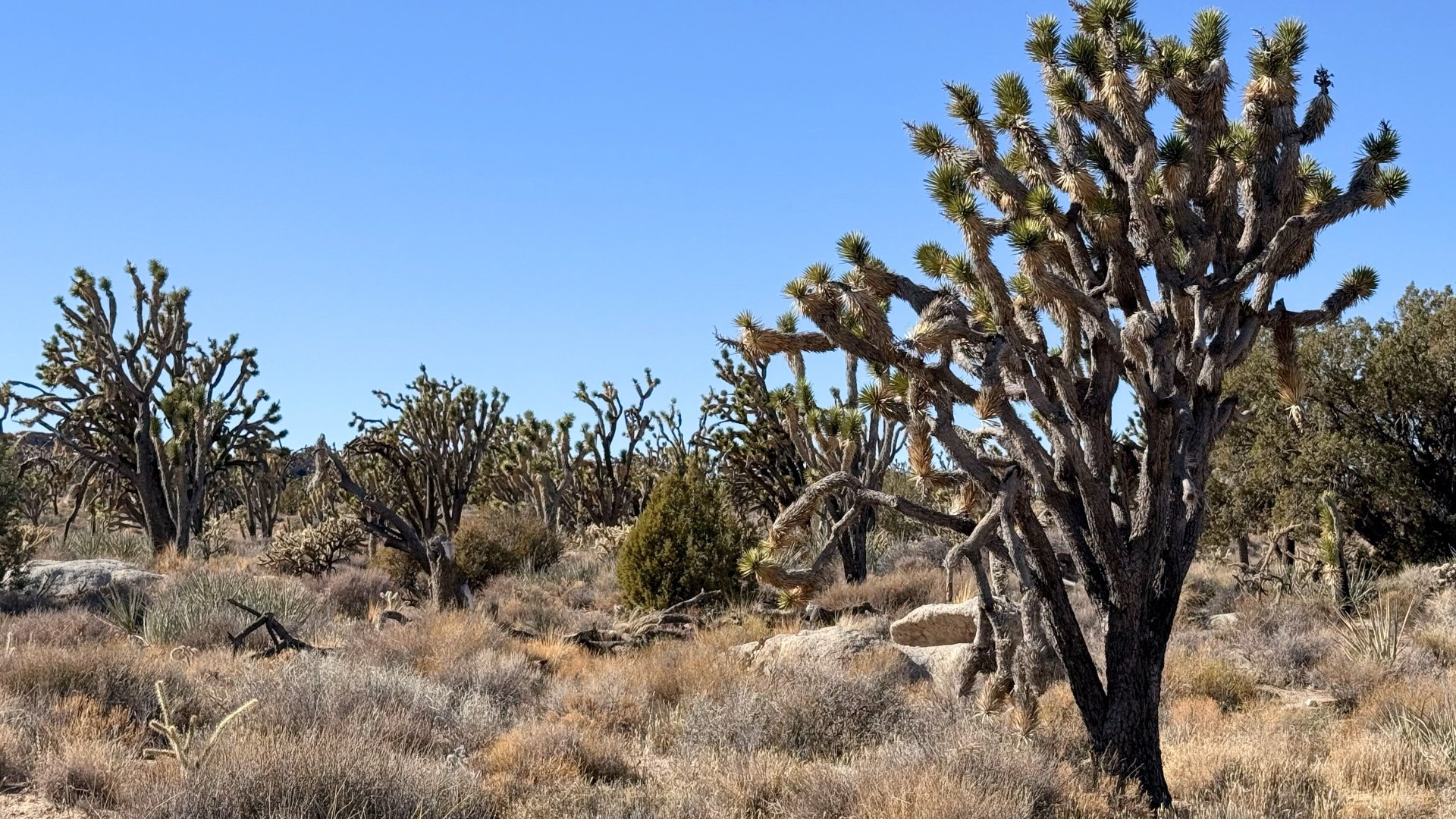 Teutonia Peak Hike Directions 6