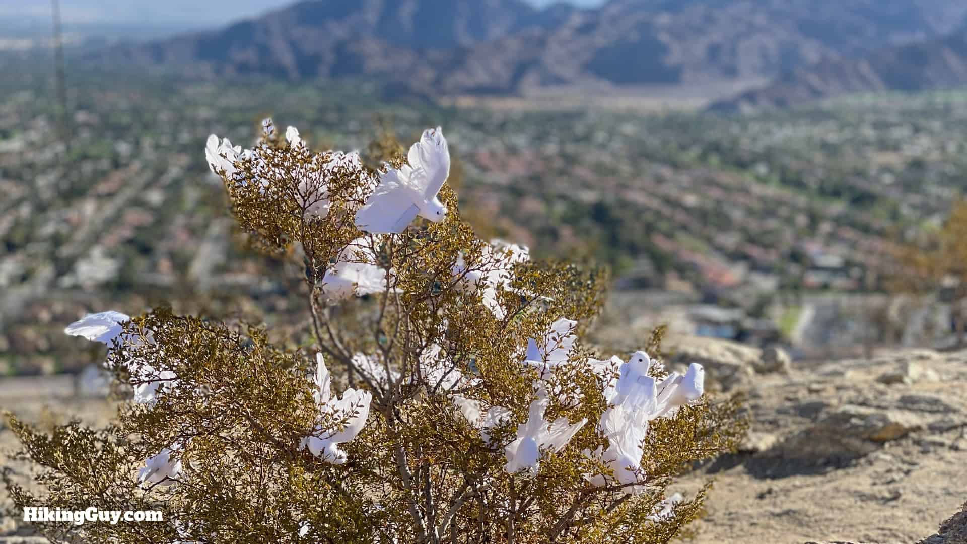 The Cross Hike Palm Desert 22