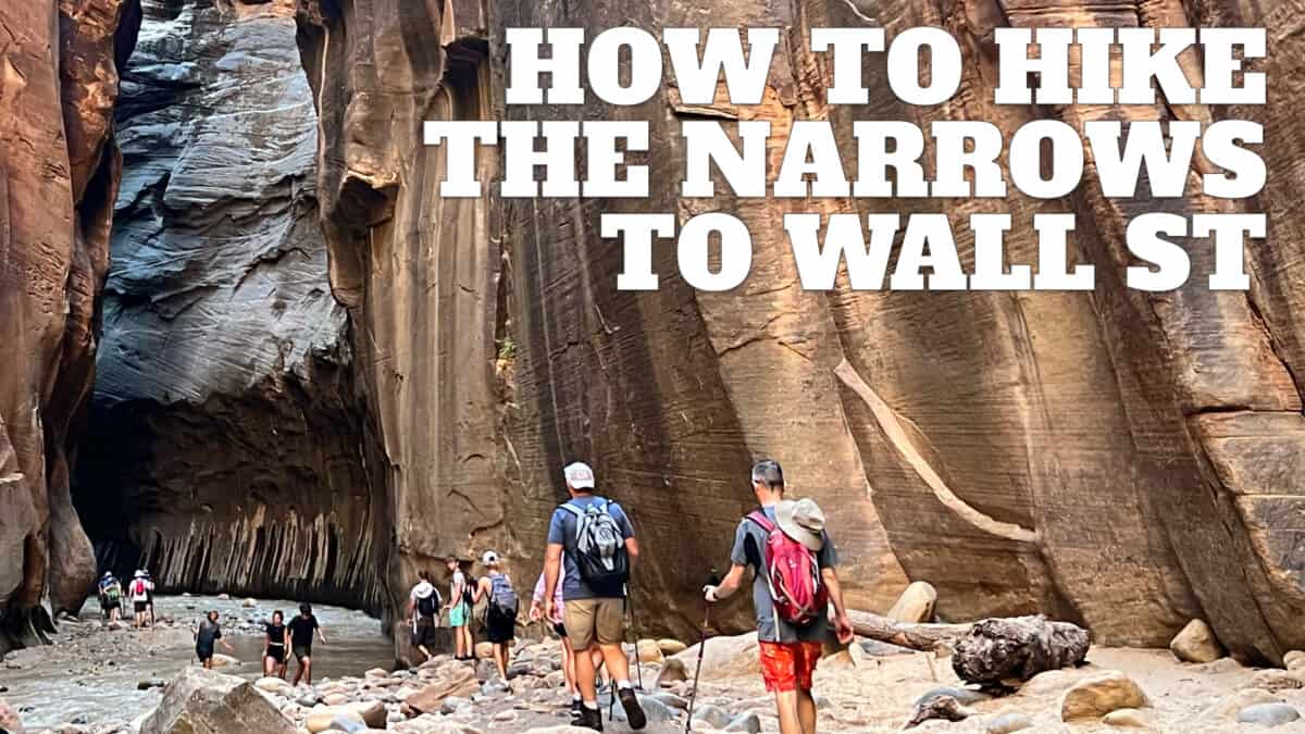 The Easy Narrows Hike to Wall Street (Zion)