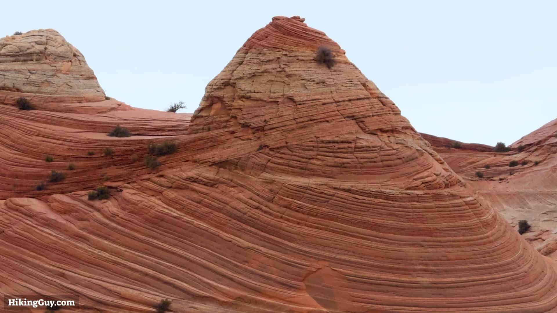 The Wave Features