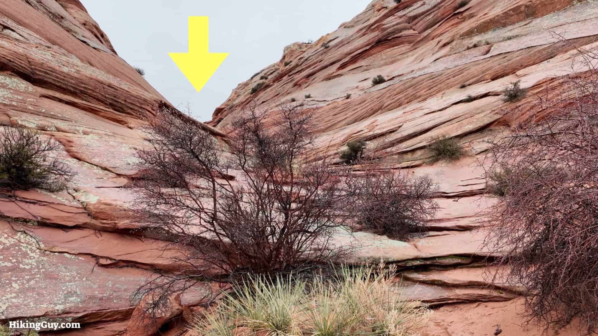 The Wave Hike Directions 15
