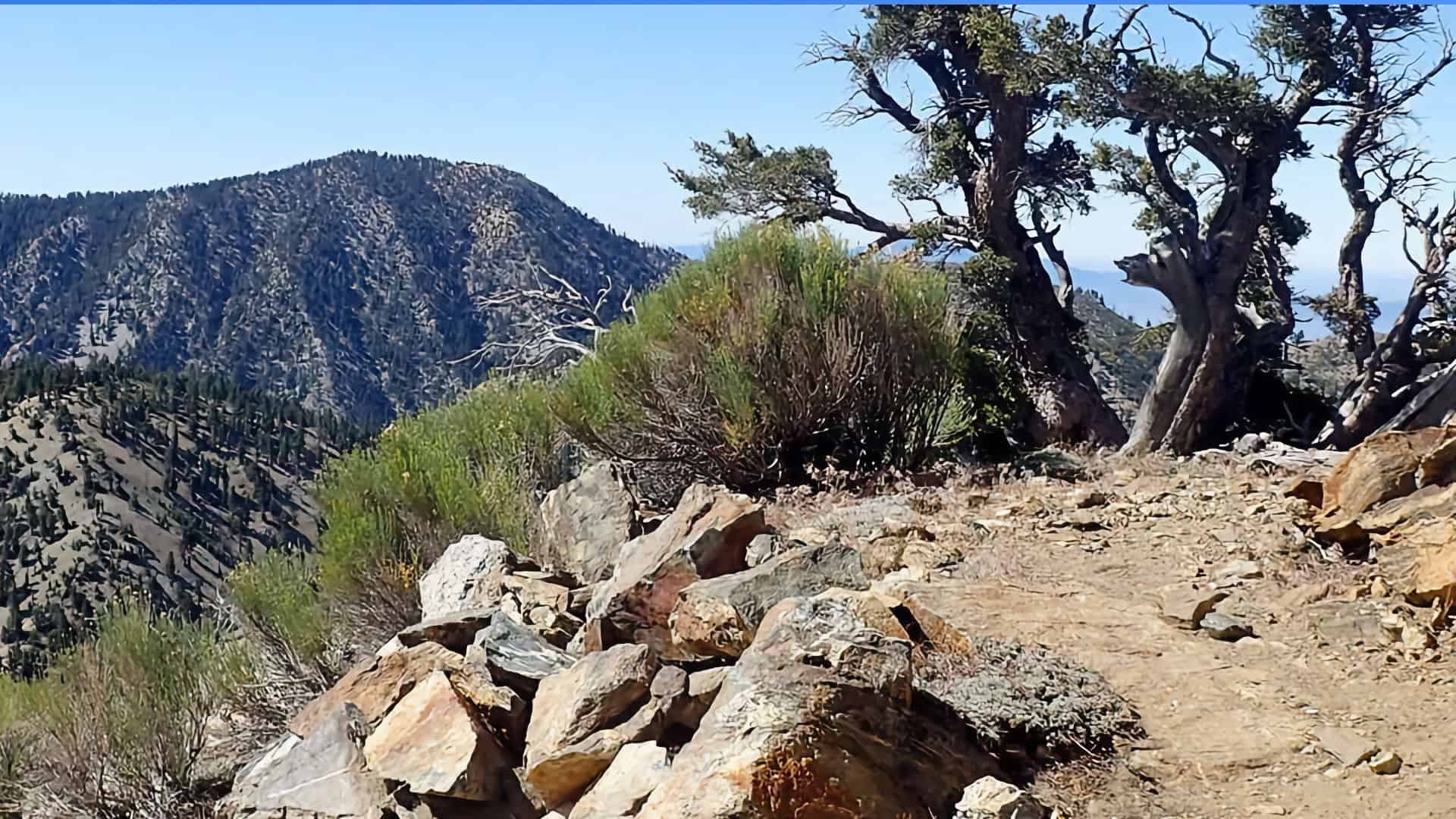 Hike the Three T's Trail