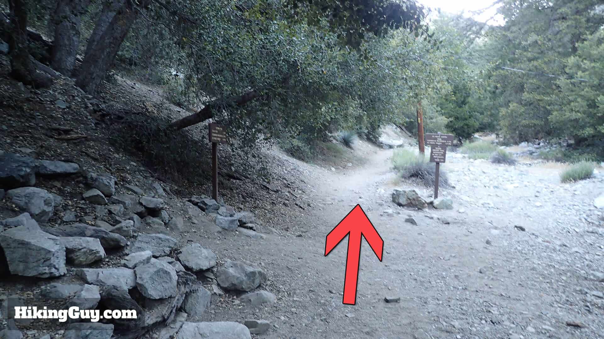 Chapman Trail junction