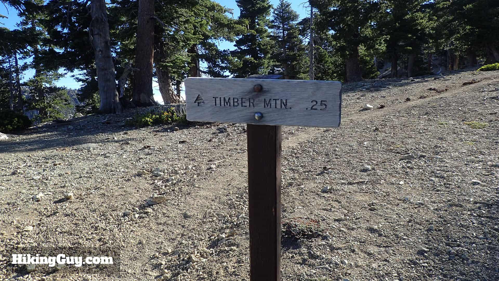 trail to Timber Mountain