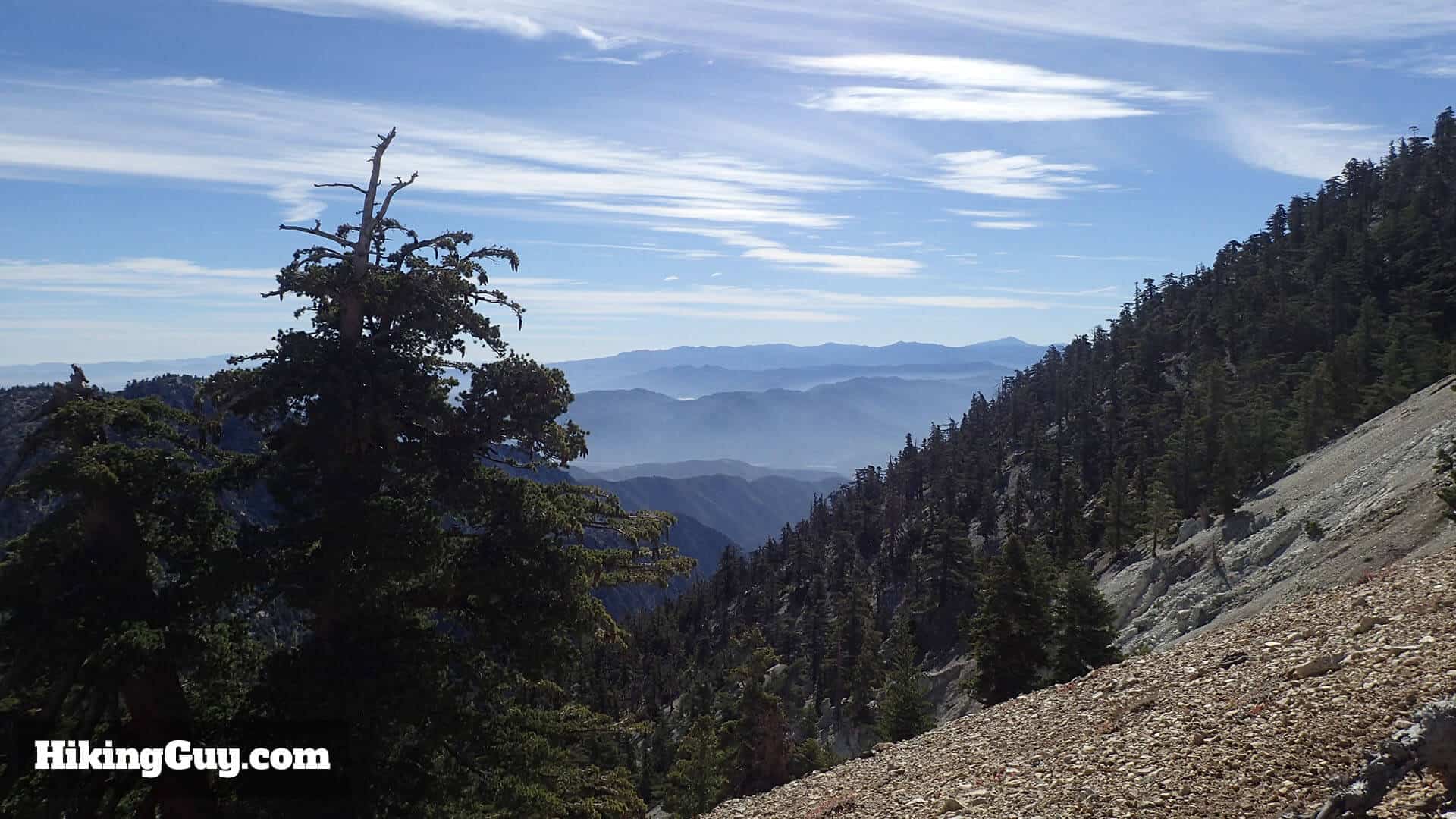 Three T's Trail views