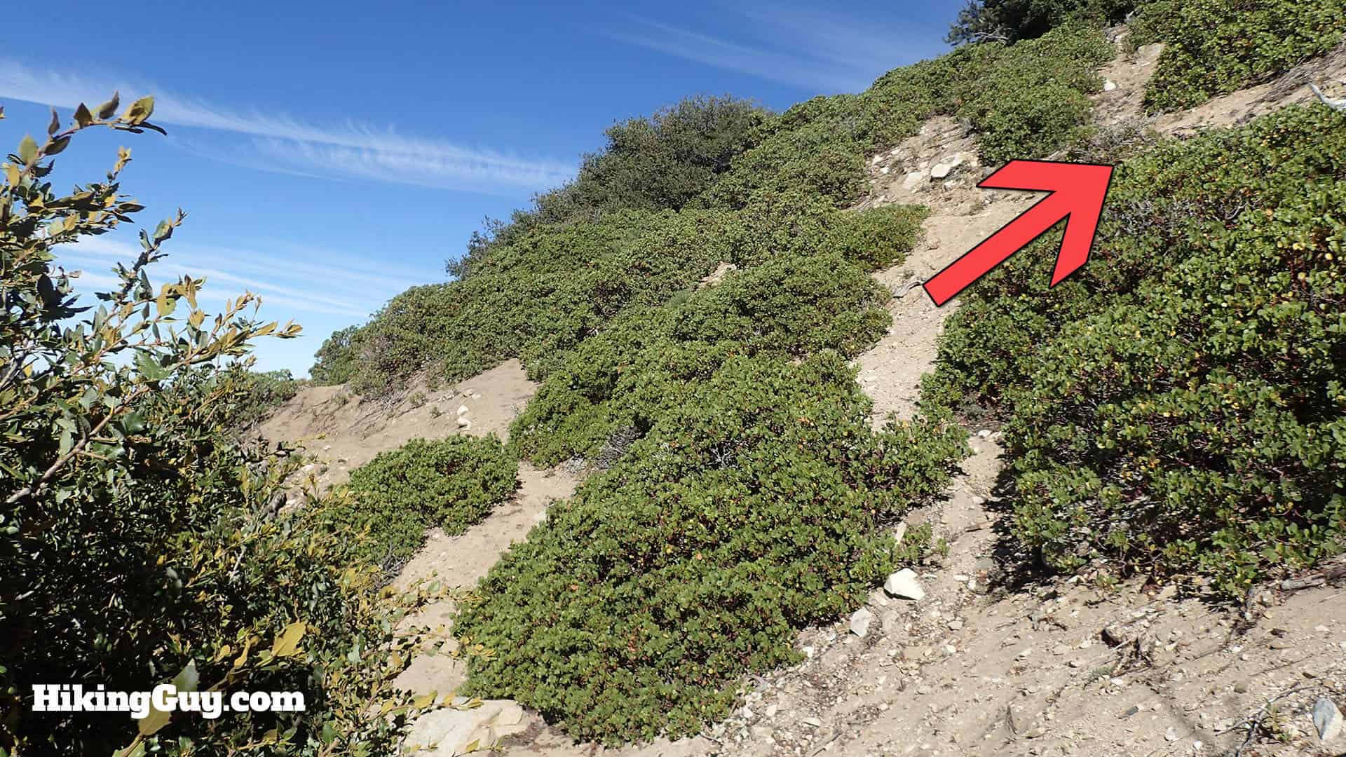 Three T's Trail climb