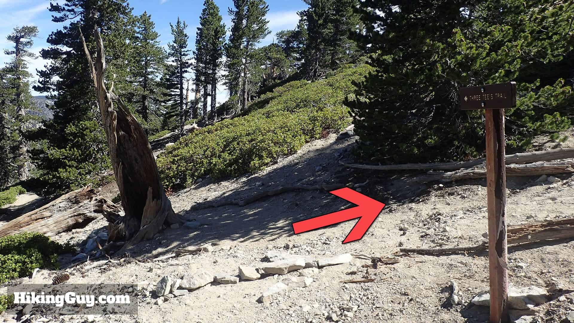 spur to the Telegraph Peak summit