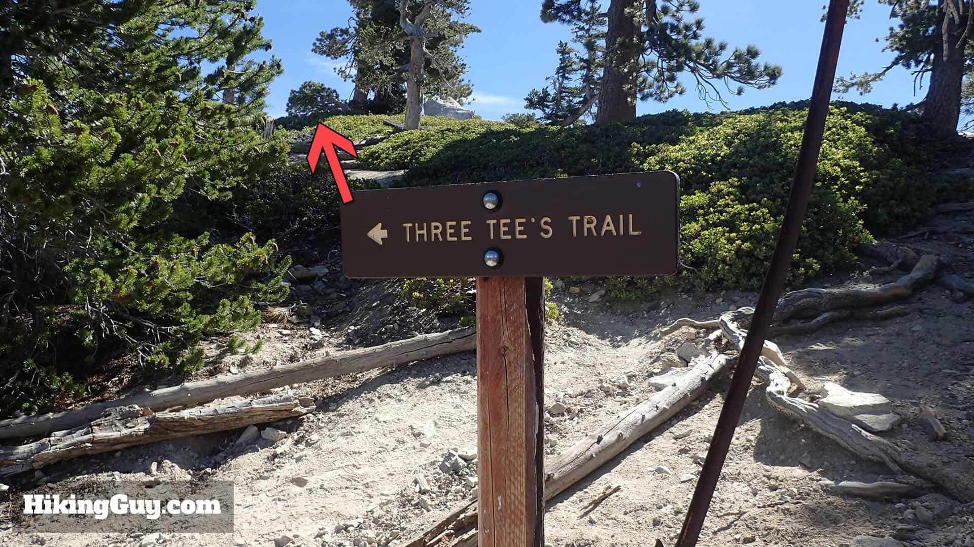 spur to the Telegraph Peak summit.