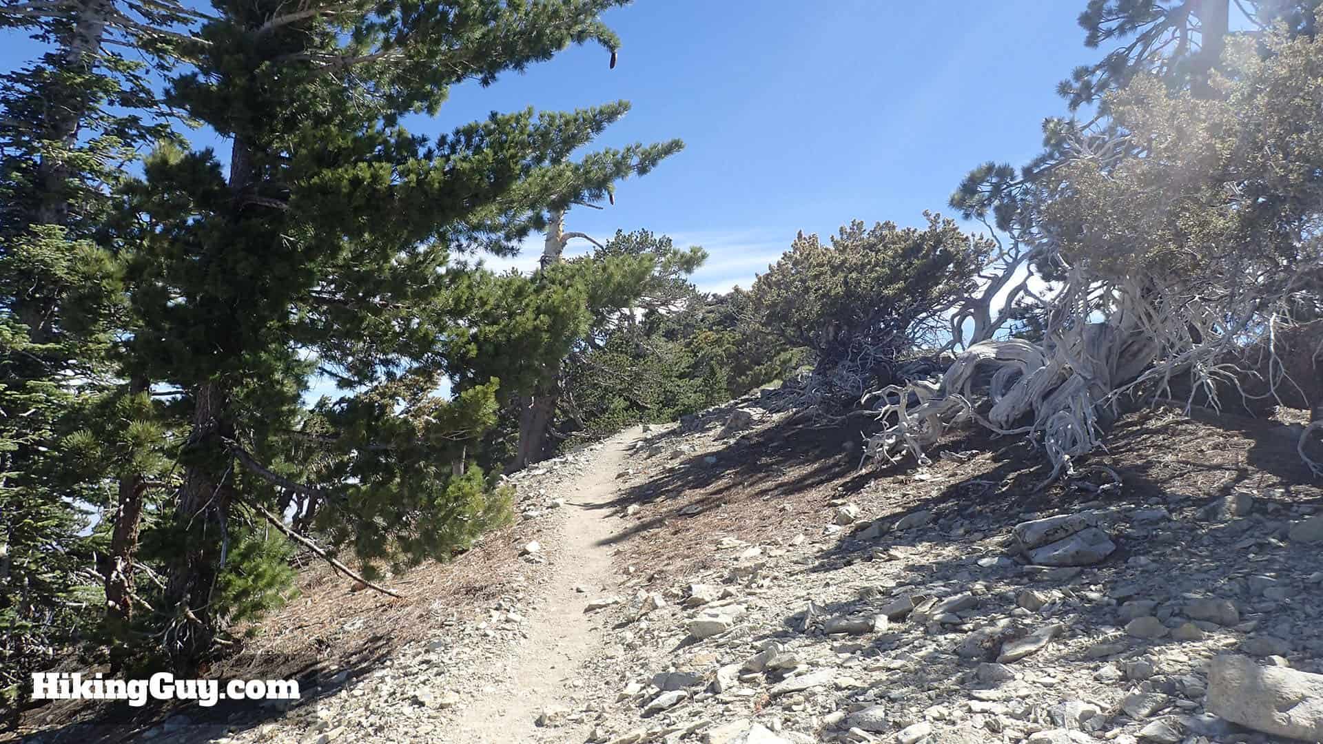 Hike the Three T’s Trail