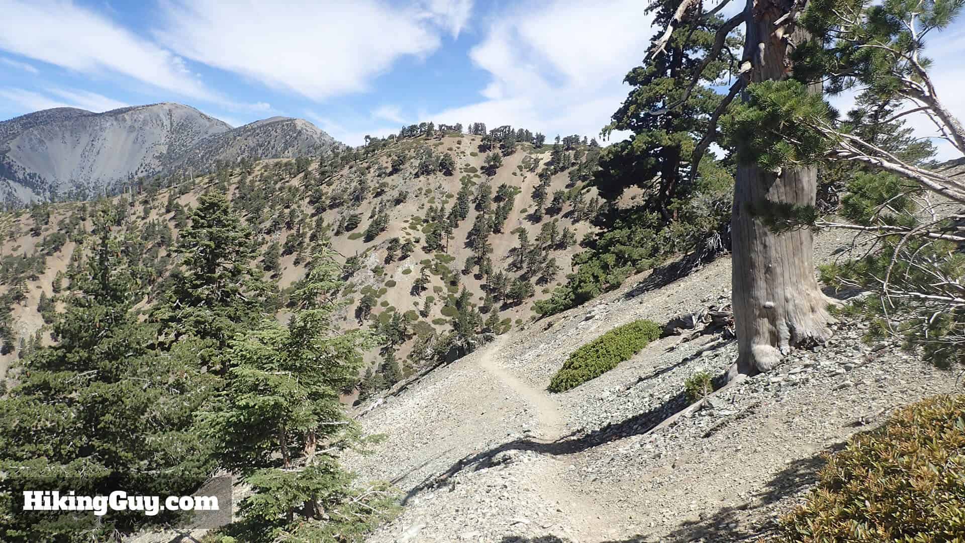 Three T's Trail descends