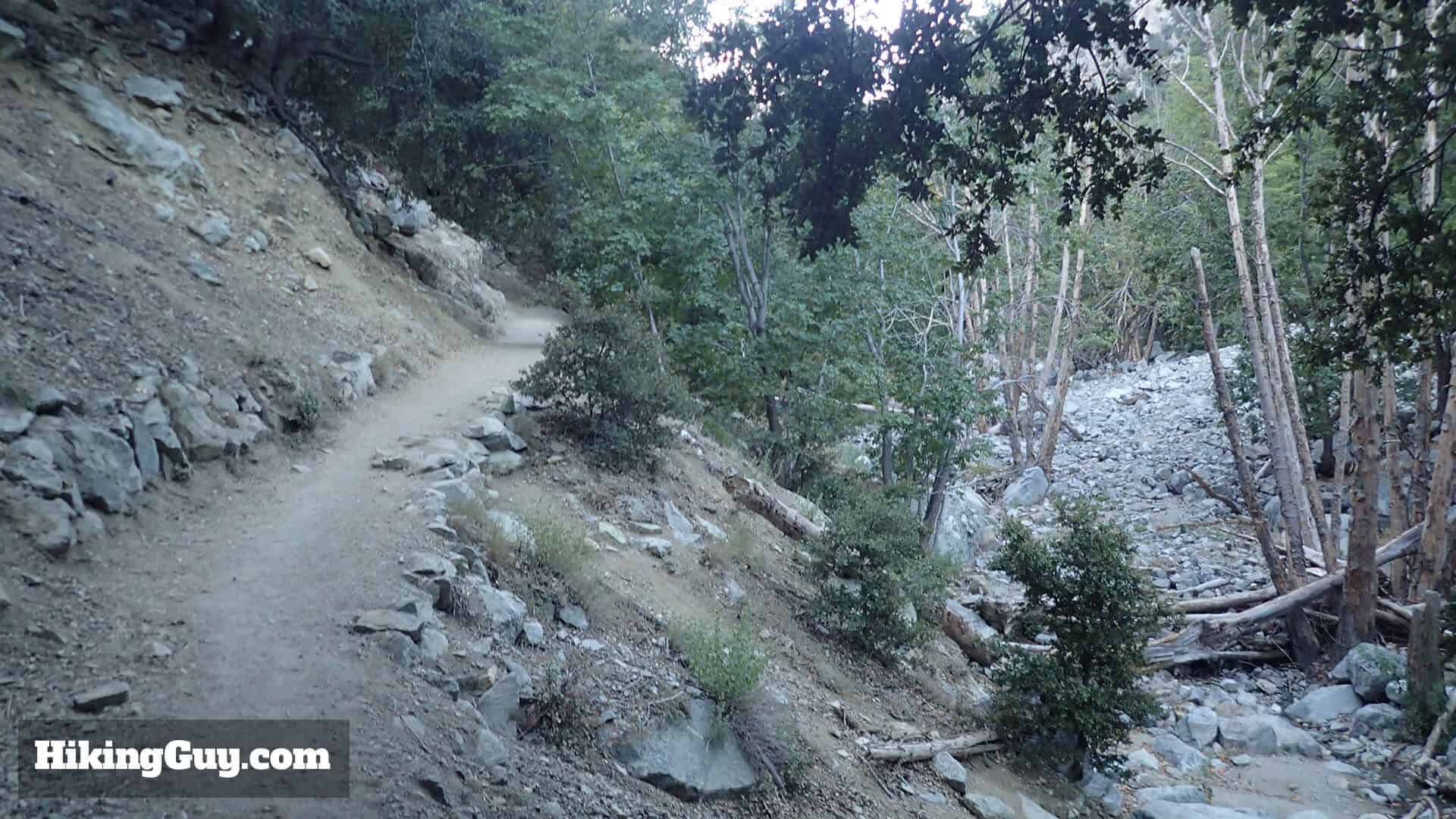 Icehouse Saddle trail 