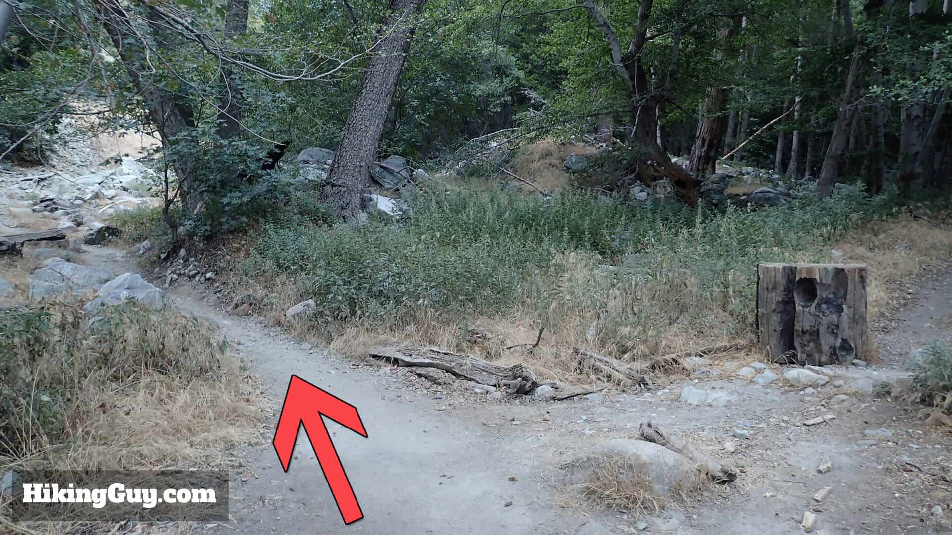 Icehouse Saddle trail 