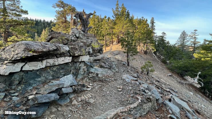 Throop Peak Mount Burnham Baden Powell Directions 10